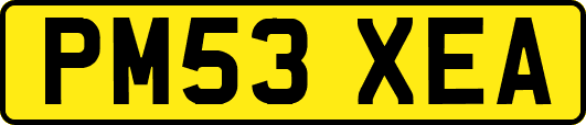 PM53XEA