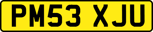 PM53XJU