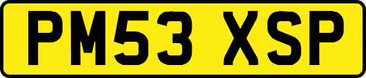 PM53XSP