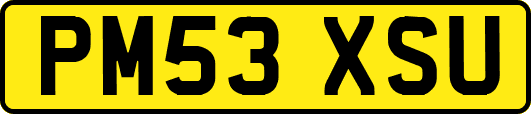 PM53XSU
