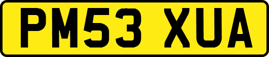 PM53XUA