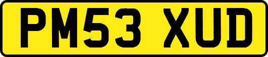 PM53XUD