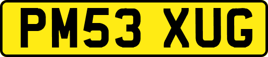 PM53XUG