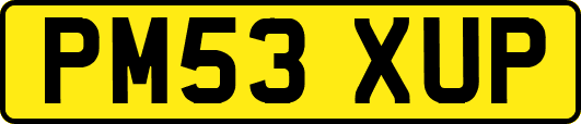 PM53XUP