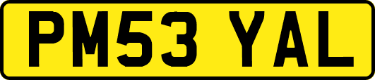 PM53YAL