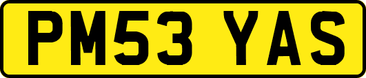 PM53YAS