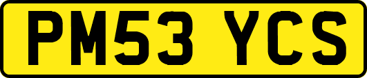 PM53YCS