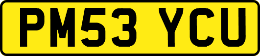 PM53YCU