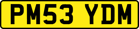 PM53YDM