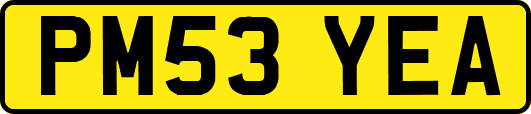 PM53YEA