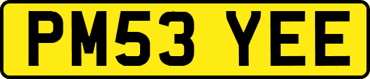 PM53YEE