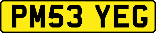 PM53YEG