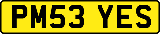 PM53YES