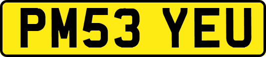 PM53YEU