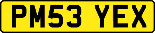 PM53YEX