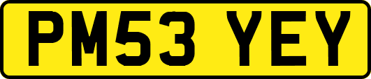 PM53YEY