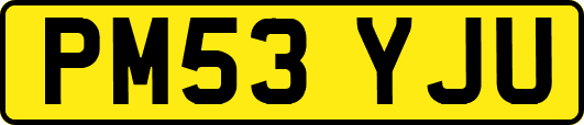 PM53YJU