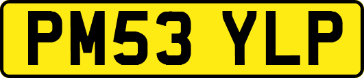 PM53YLP