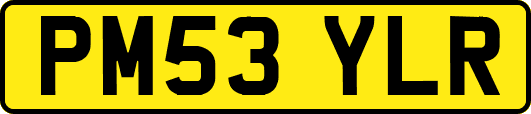 PM53YLR