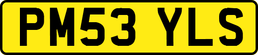 PM53YLS