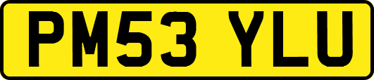 PM53YLU