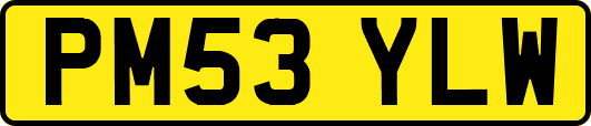 PM53YLW