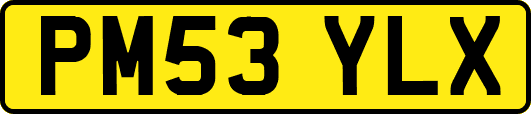PM53YLX