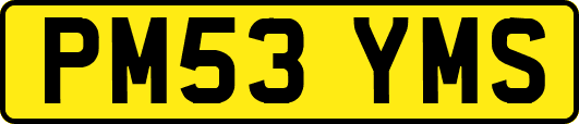 PM53YMS