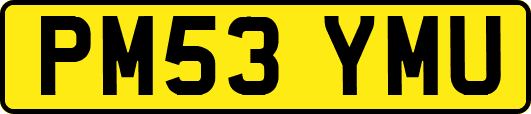 PM53YMU