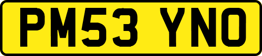 PM53YNO