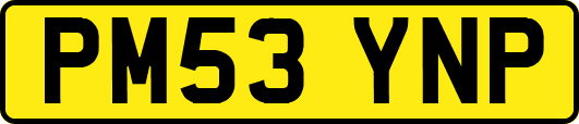 PM53YNP