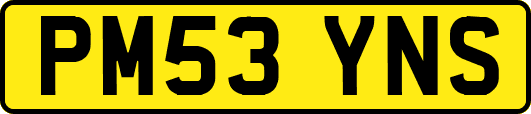PM53YNS