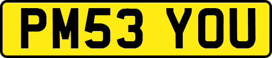 PM53YOU