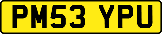 PM53YPU