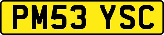 PM53YSC