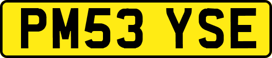 PM53YSE