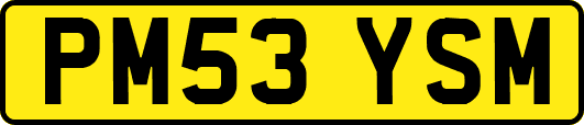PM53YSM