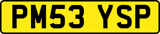 PM53YSP