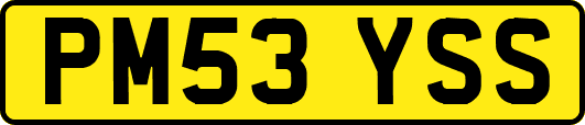 PM53YSS