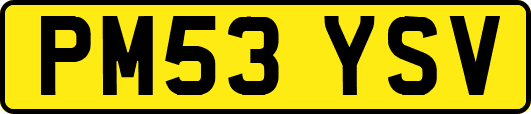 PM53YSV