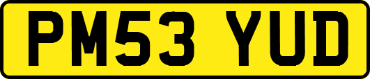 PM53YUD