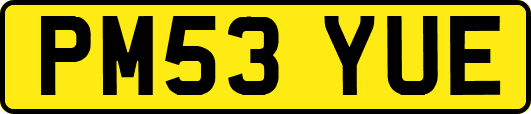 PM53YUE