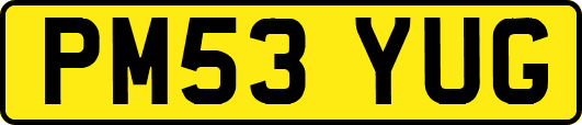 PM53YUG
