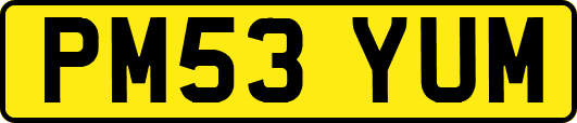 PM53YUM