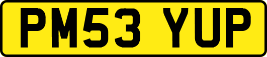 PM53YUP