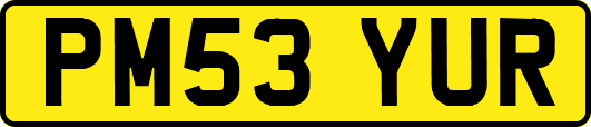 PM53YUR
