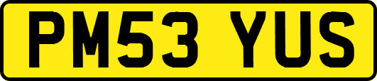 PM53YUS