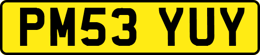 PM53YUY