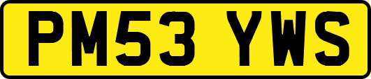 PM53YWS