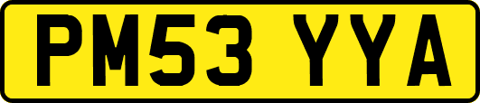 PM53YYA